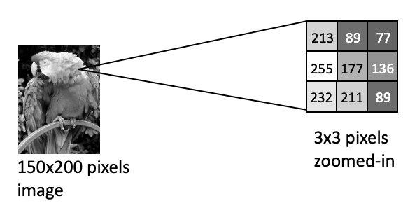 Arrays Slide 7