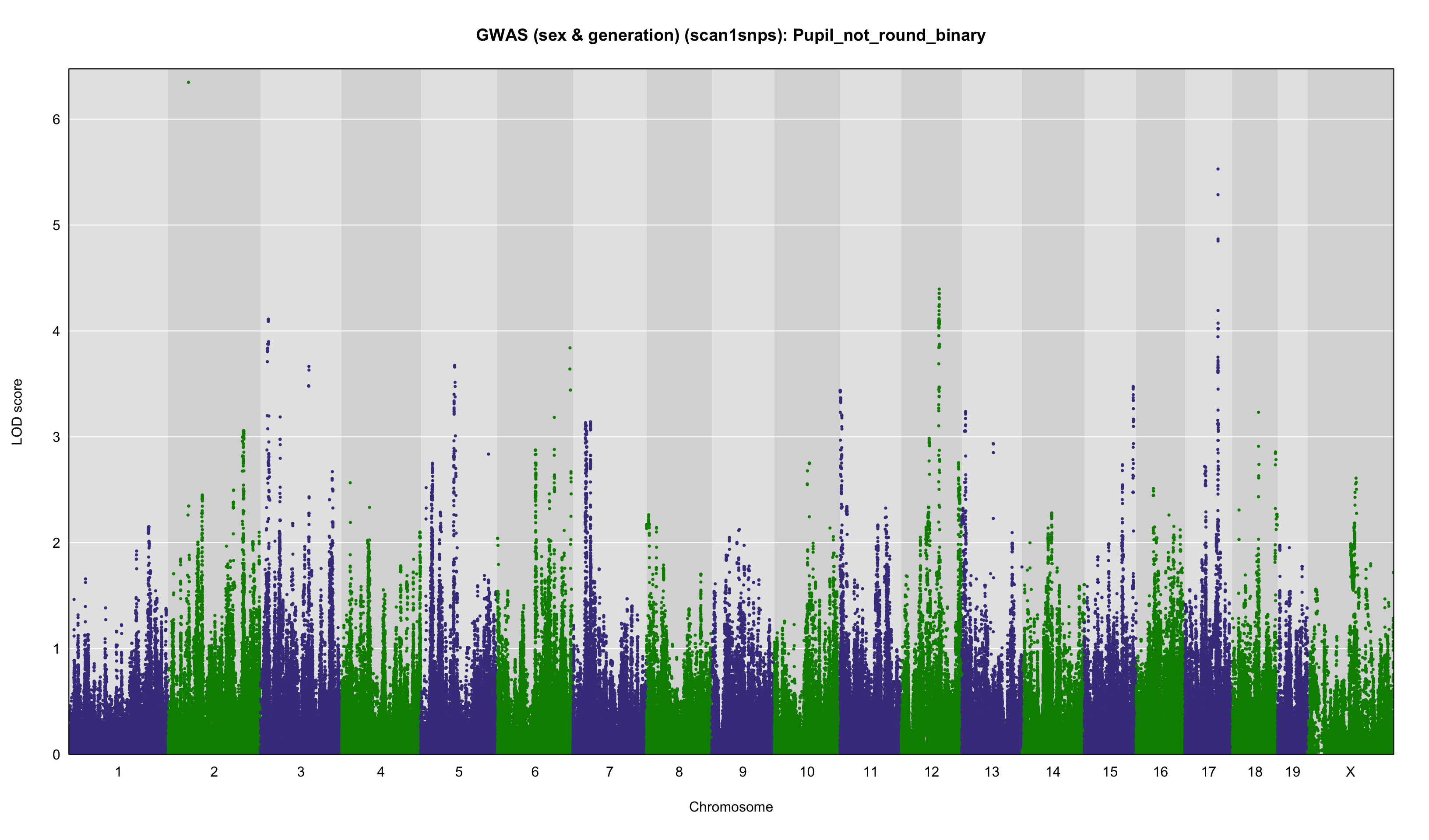 Results from R/qtl2 Analayis (Plots) - Pupil (not round) [binary]