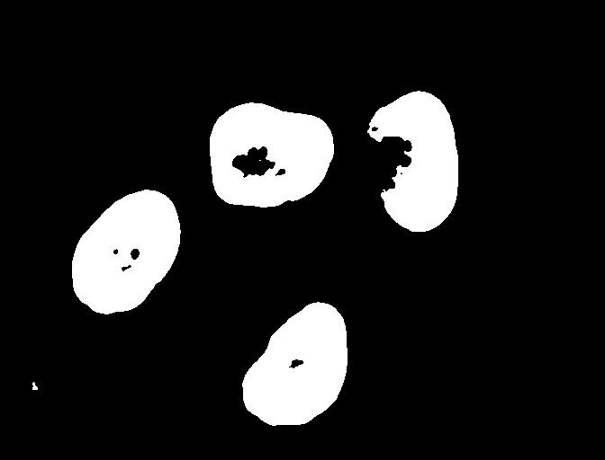 Binary mask of nuclei using otsu thresholding