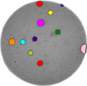 Sample morphometric output