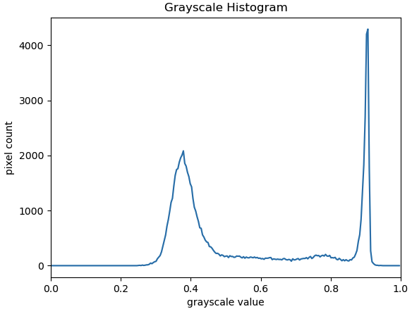 Grayscale H&E histogram of just kidney section