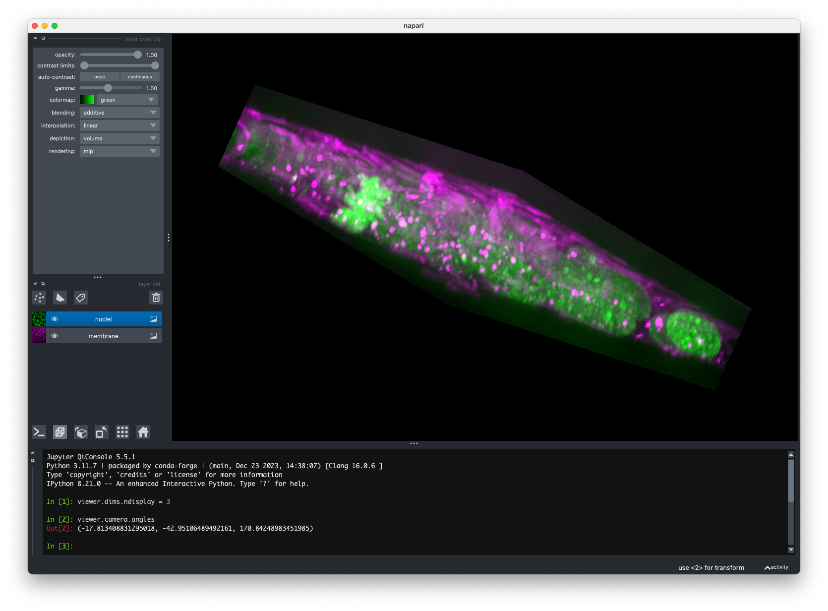 Screenshot of napari UI with the Python console open (docked at bottom) and showing some code.
