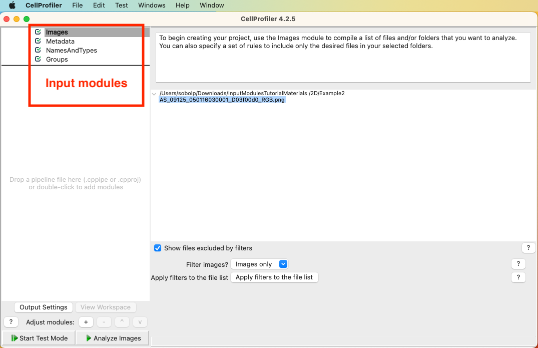 Screenshot of empty CellProfiler UI with menu bar. In the top left, the four Input modules are highlighted with a red box and red text.
