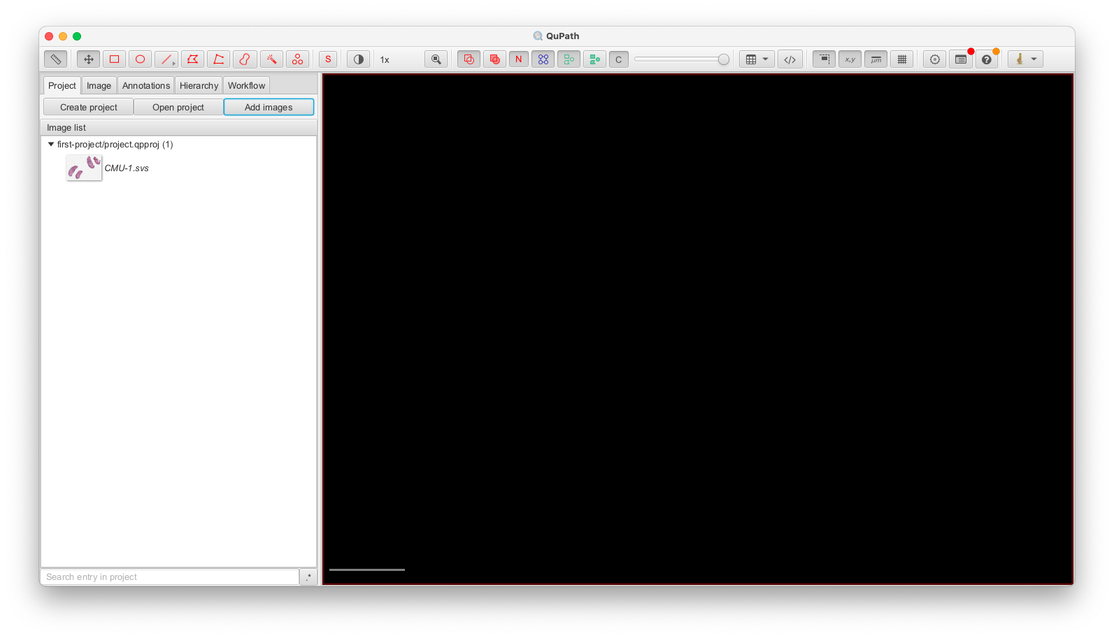 Screenshot of QuPath application window with a single image in the `Analysis pane`.