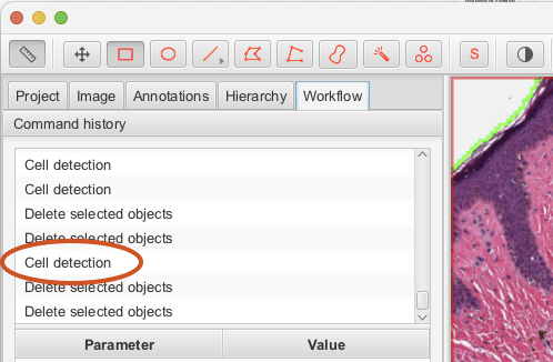 Inset of screenshot of QuPath application window (top left) showing the Analysis pane Workflow tab.