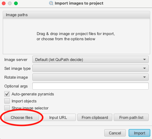 Screenshot of `Import images to project` dialog with `Choose files` button in red.