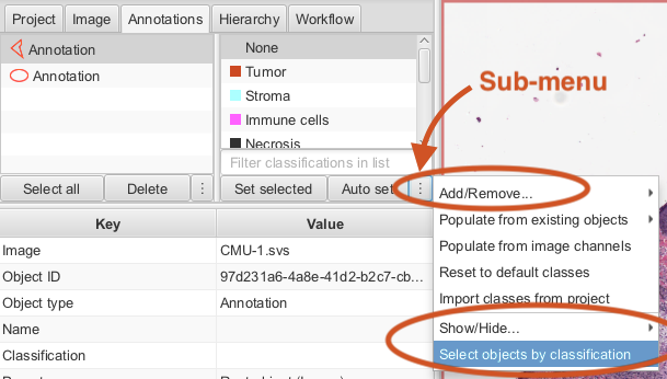 Screenshot of QuPath  application  showing the Annotations tab of the Analysis Pane with the Classes submenu shown in red.
