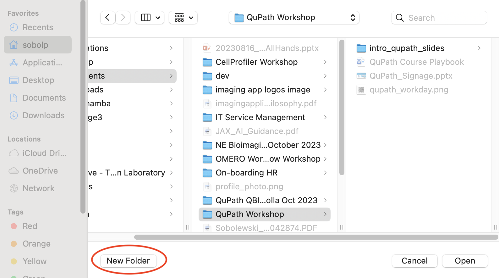 Screenshot showing the file browser with the `New Folder` button in red.