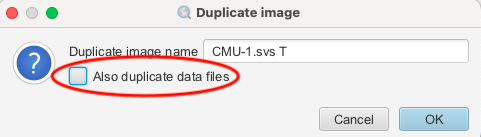 Screenshot of QuPath `Duplicate image` dialog, with `Also duplicate data files` in red.