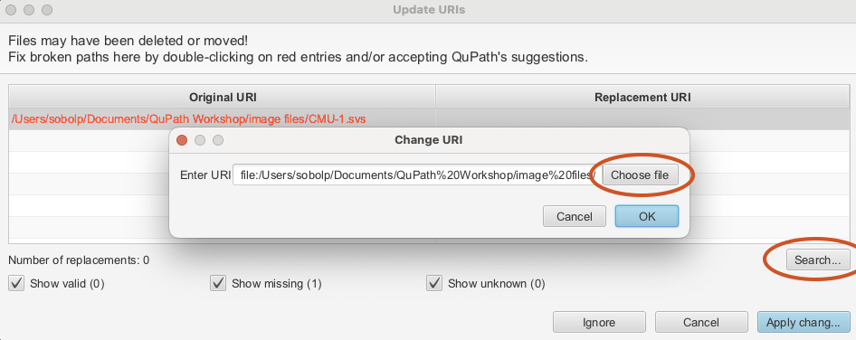 Screenshot of QuPath `Update URIs` dialog showing the `Choose URI` dialog.