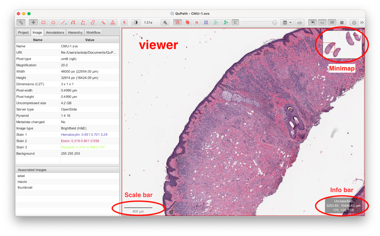 Screenshot of QuPath application window with elements of the viewer highlighted in red.