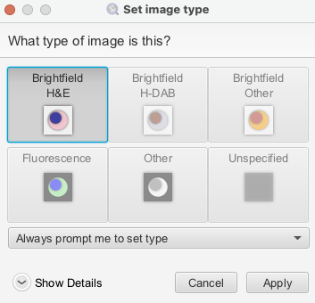 Screenshot of `Set image type` dialog.