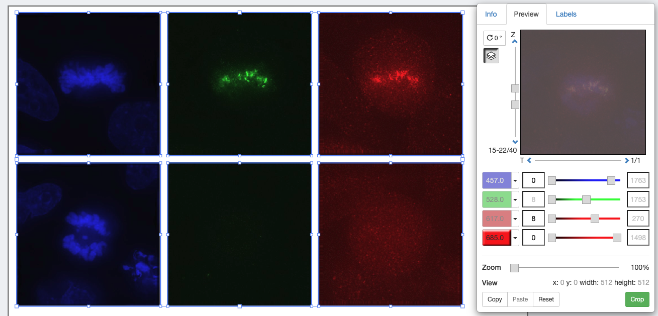 OMERO.figure with blue, green, and red columns of images