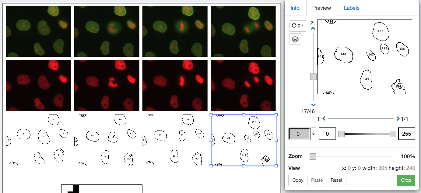 outline images with z selected to match time