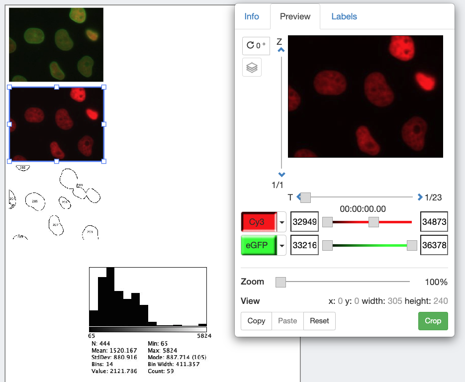 screenshot of omero.figure with full color, red, and roi outlines in a column