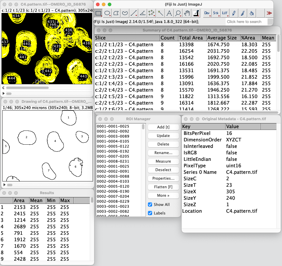 collage of fiji results from running analyze particles, including outlines, ROI manager, results, etc