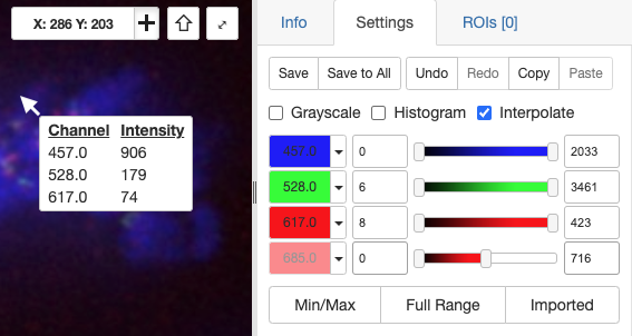 iviewer showing mouseover with pixel intensities