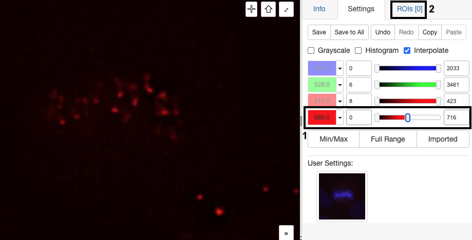 iviewer after following above instructions, with steps labelled