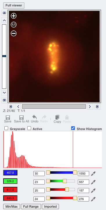 Preview viewer with channels adjusted and histogram