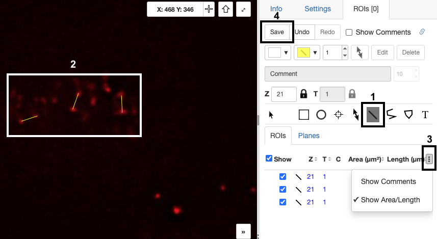 iviewer on roi tab after following above instructions, with steps labelled