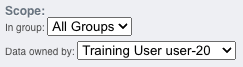 group and owner dropdowns for search