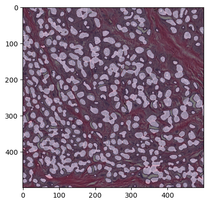 Scaling-up Deep Learning Inference to Large-Scale Bioimage Data (Lesson ...